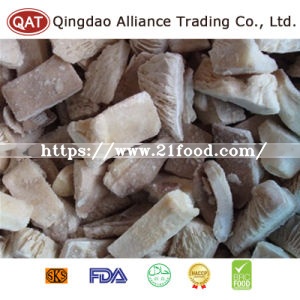 Top Quality Whole Oyster Mushroom