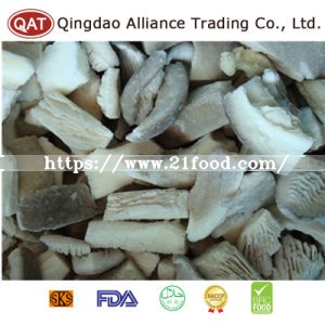 Top Quality Whole Oyster Mushroom