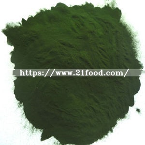 Factory Supply Chlorella with Protein 55% by Fermentation