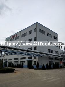Factory Supply Chlorella with Protein 55% by Fermentation