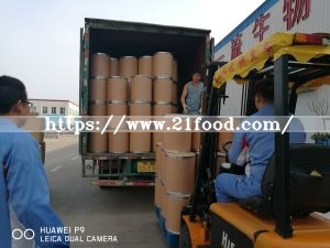 Factory Supply Chlorella with Protein 55% by Fermentation