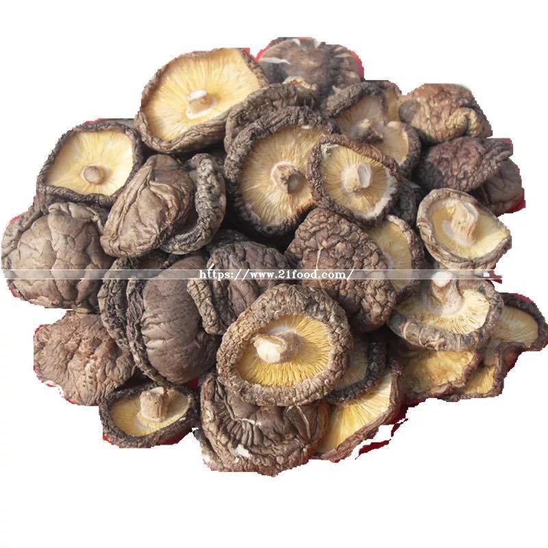 Mushroom Shiitake Column
