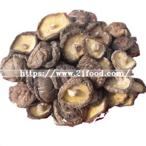 Mushroom Shiitake Column