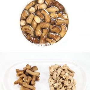 Mushroom Shiitake Column