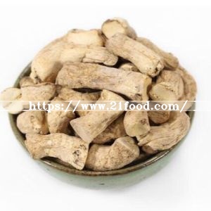 Mushroom Shiitake Column