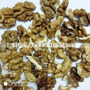 Big Walnut in Shell