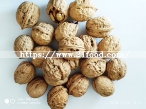 Big Walnut in Shell