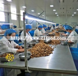 Suguo Walnut Ltd Light Kernel Amber Kernel 1/2 1/4