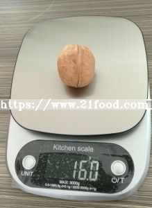 Shell Walnut 1mm Shell Weight 15g Walnut High Quality Weight