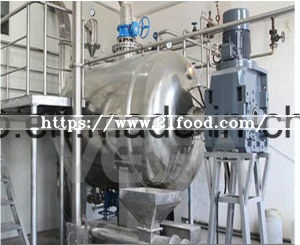 Ekato 70% Feed Grade Lysine with High Quality