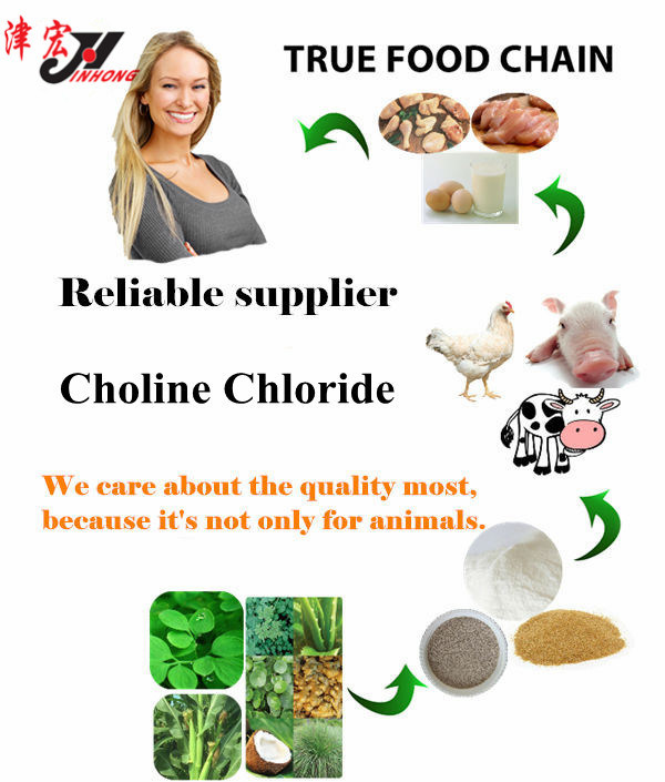 Animal Feed Activity 67-48-1 Choline Chloride 50% 60% 70%