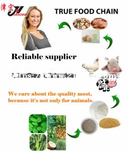 Cattle, Chicken Use and Animal Feed Type Choline Chloride