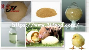 Animal Feed Activity 67-48-1 Choline Chloride 50% 60% 70%