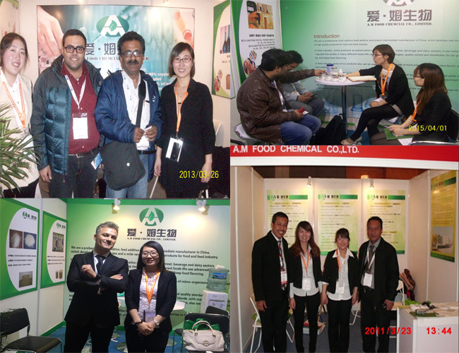 Feed Additive Calcium Butyrate Coated Kind with High Quality