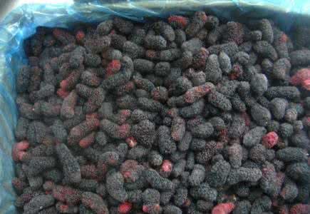 Top Quality IQF Frozen Mulberry