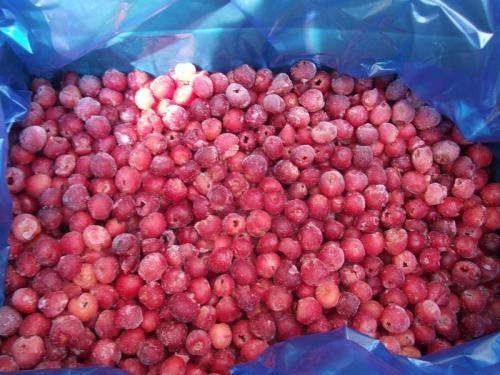 Top Quality IQF Frozen Cherry