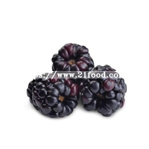 Export Quality IQF Frozen Blackberry