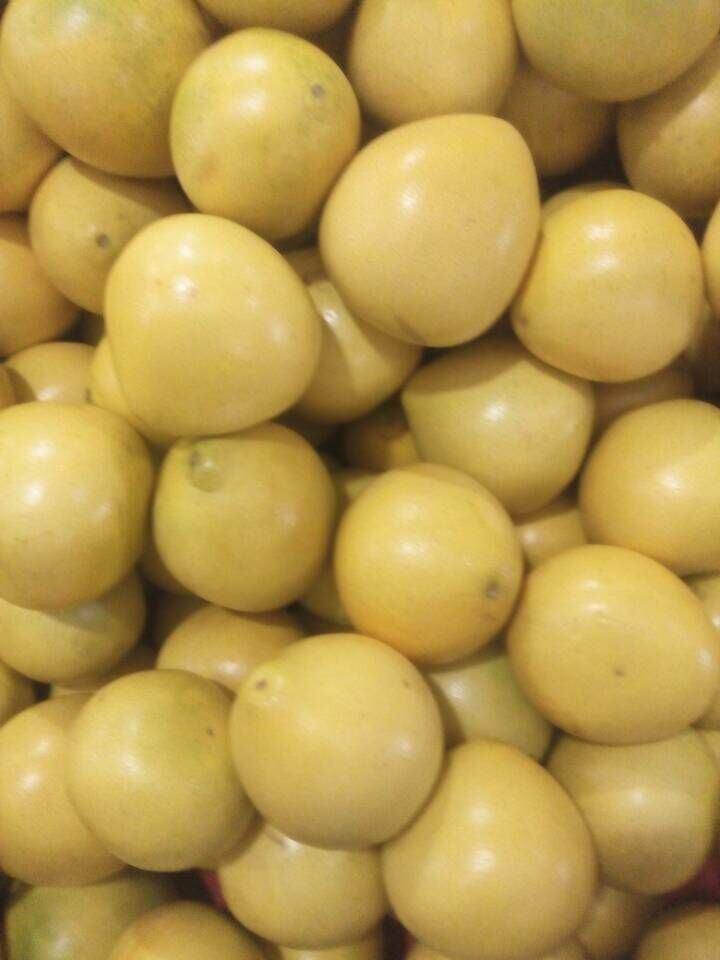 EU Quality New Fresh Honey Pomelo