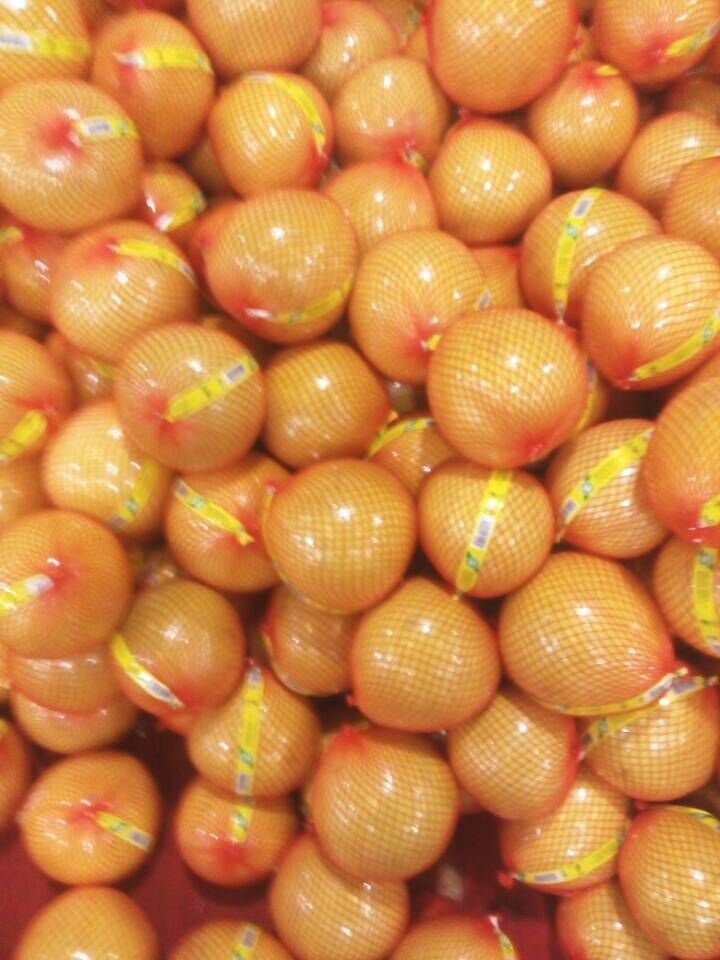 EU Quality New Fresh Honey Pomelo
