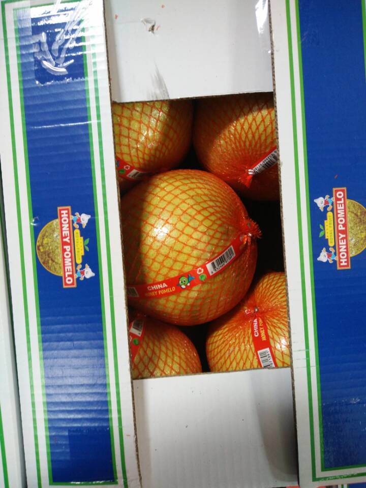 EU Quality New Fresh Honey Pomelo