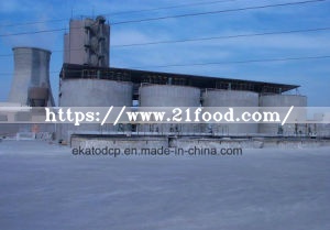 Feed Grade Dicalcium Phosphate (DCP, MDCP, MCP)