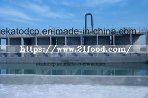 Feed Grade Dicalcium Phosphate (DCP, MDCP, MCP)