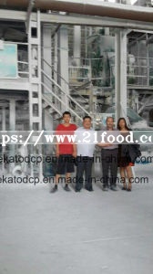 Feed Grade Dicalcium Phosphate (DCP, MDCP, MCP)