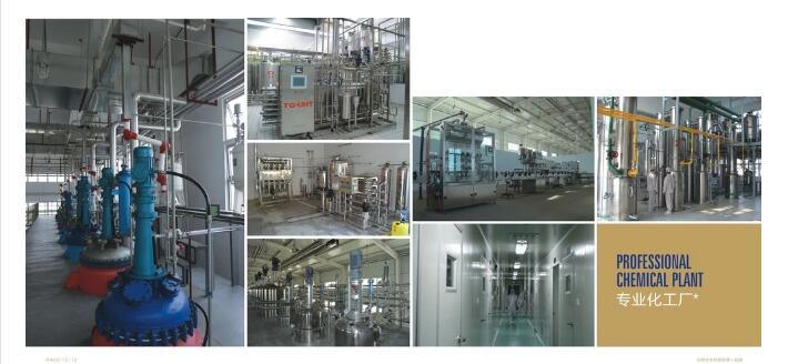 Feed Additive Granular Dicalcium Phosphate/DCP (Granular)