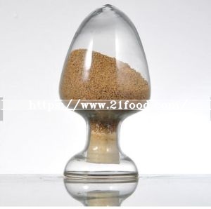 Feed Additive Granular Dicalcium Phosphate/DCP (Granular)