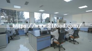 Animal Feed Yeast Factory Crude Protein 40%~55%