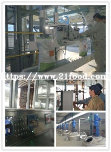 Animal Feed Yeast Factory Crude Protein 40%~55%