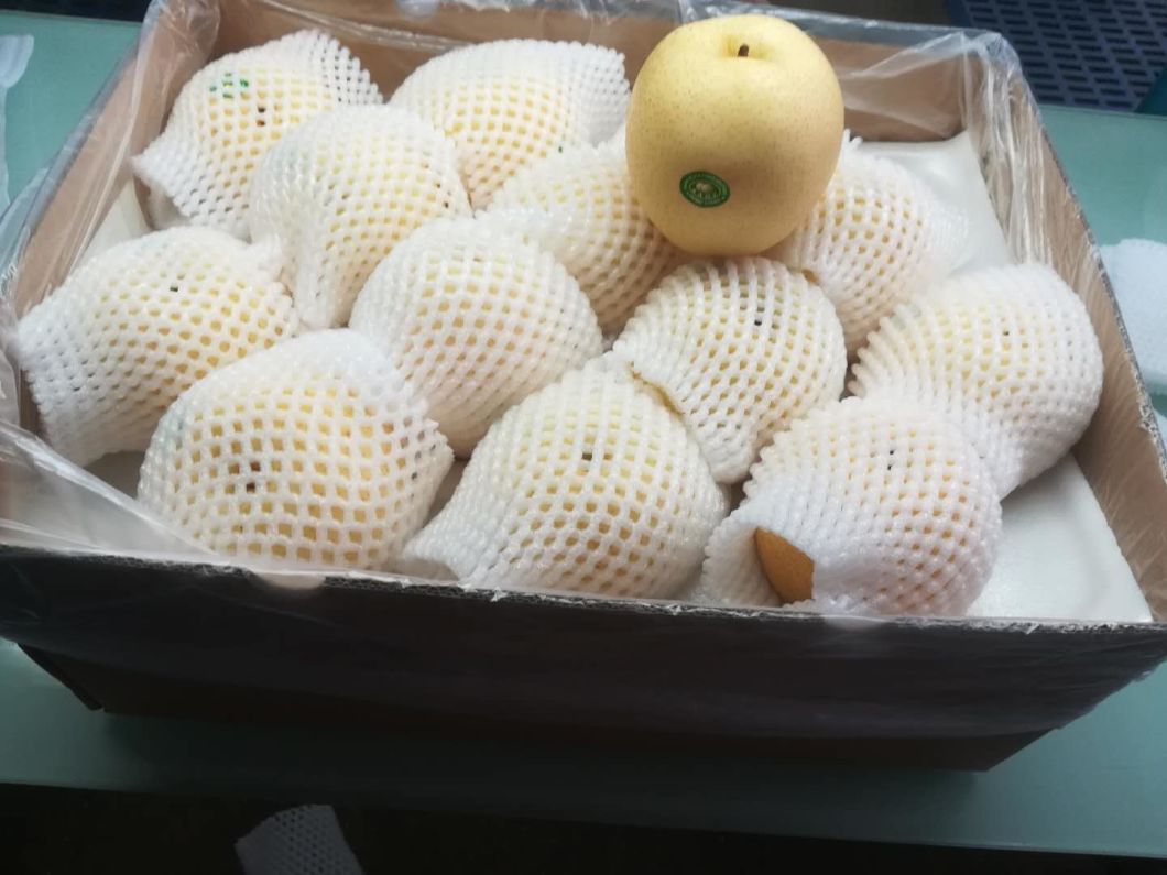 Export High Quality Fresh Ya Pear