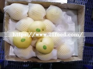 Export High Quality Fresh Ya Pear