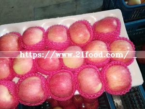 New Crop Exporting Standerd Golden Apple