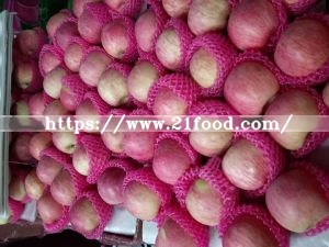 New Crop Exporting Standerd Golden Apple