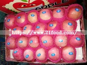 New Crop Exporting Standerd Golden Apple