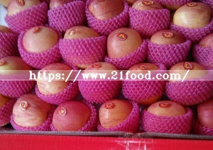 High Quality for Exporting Fresh Chinese FUJI Apple