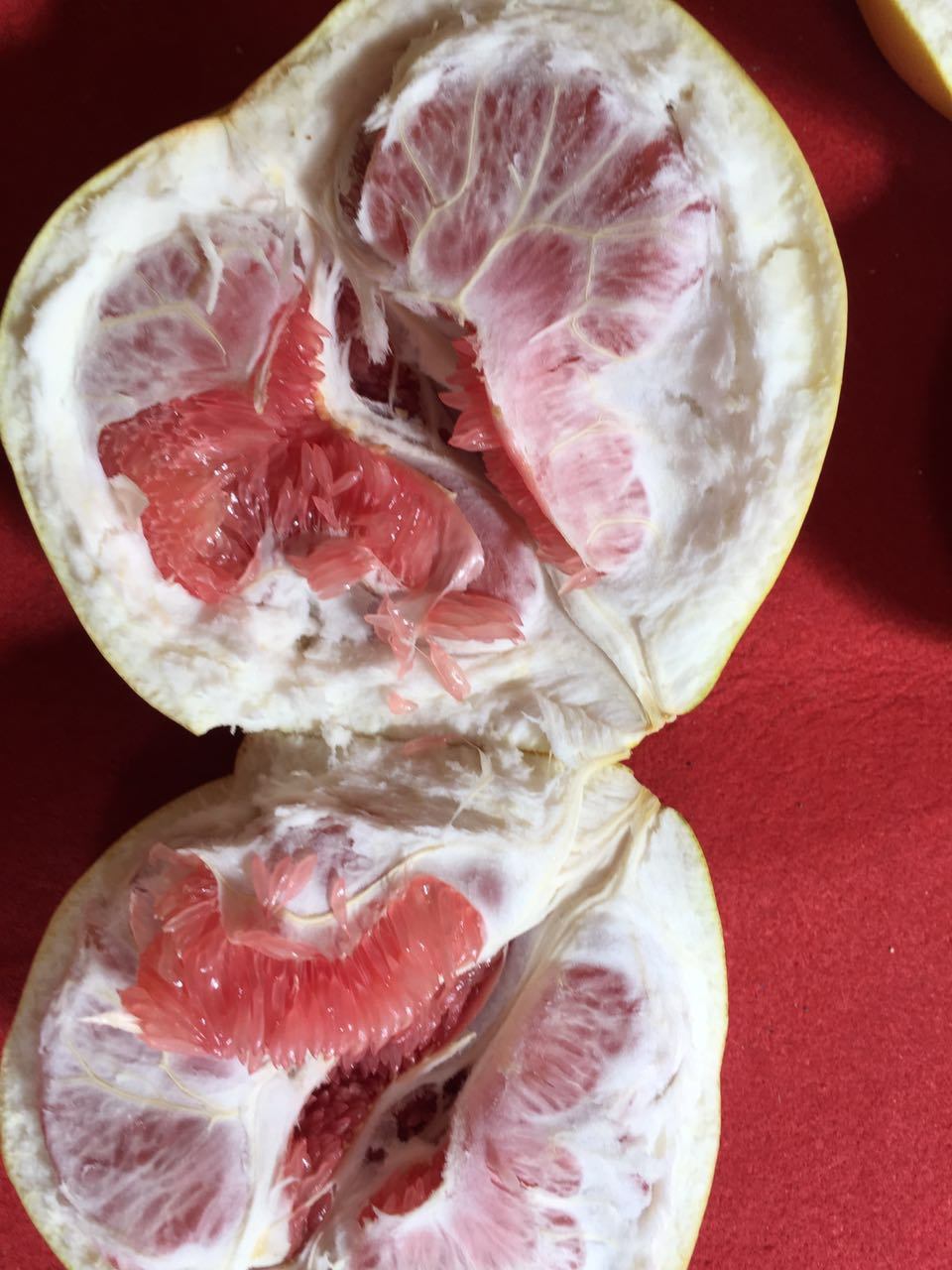 Exported Standard Quality Fresh Red Pulp Pomelo