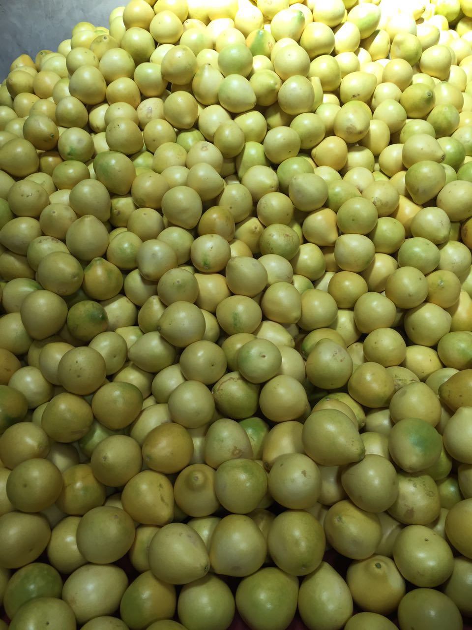 Exported Standard Quality Fresh Red Pulp Pomelo