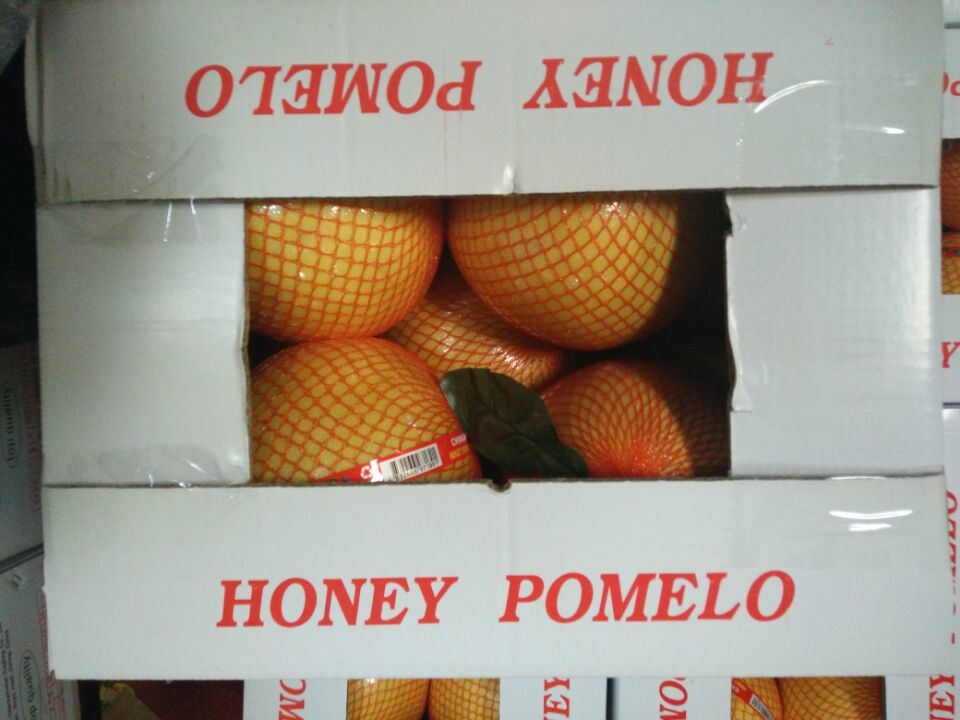 New Crop Fresh Honey Pomelo