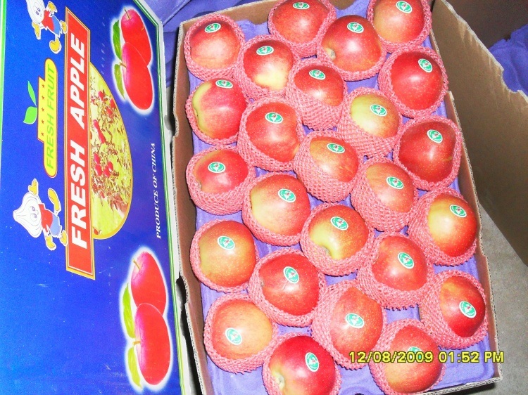 New Crop Red Color Good Quality Fresh Gala Apple