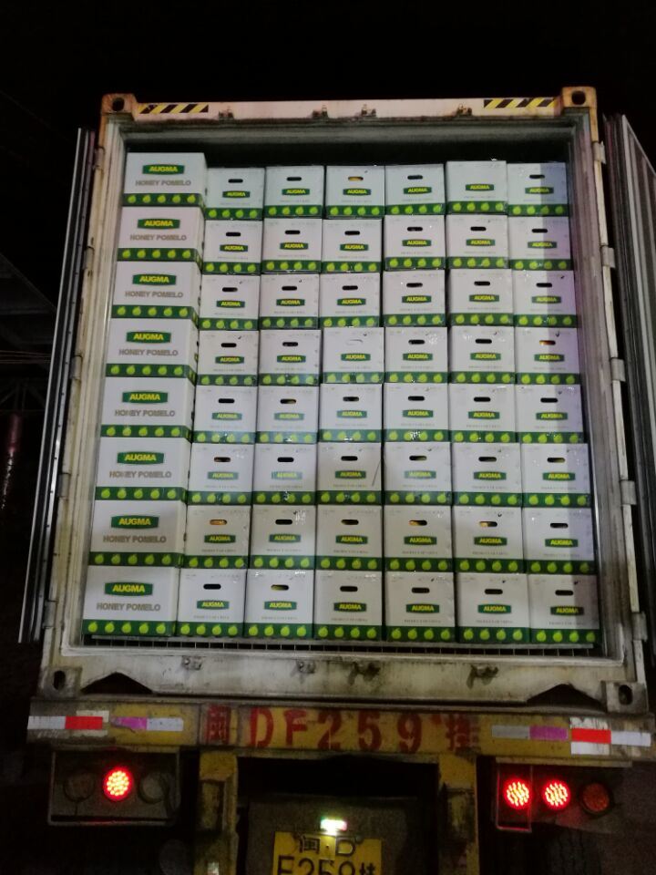 Fresh New Honey Pomelo
