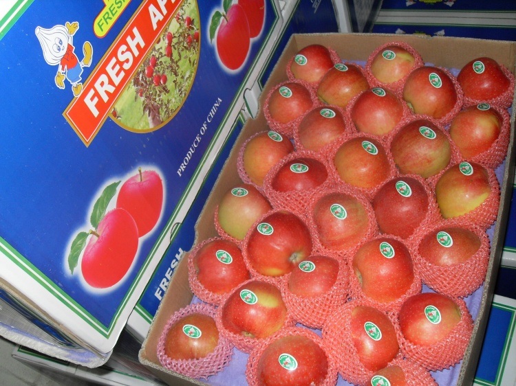 Unbagged Red Gala Apple From China
