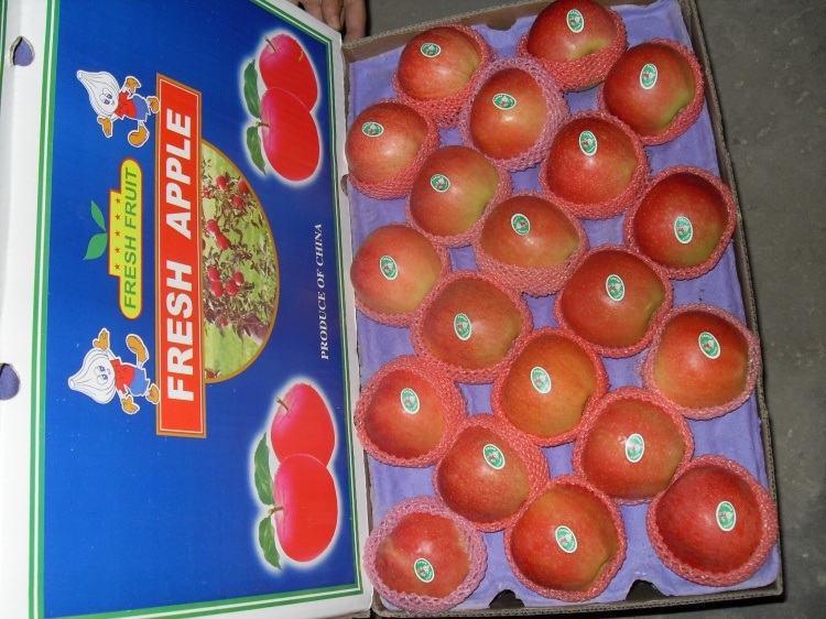 Unbagged Red Gala Apple From China
