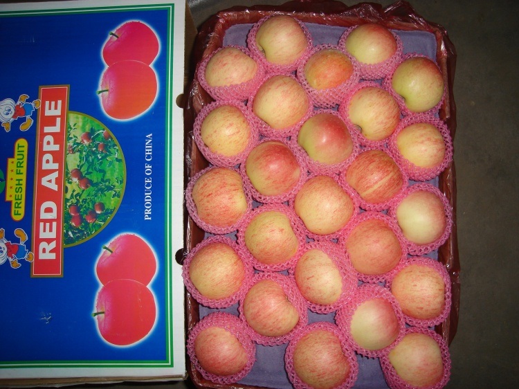 Unbagged Red Gala Apple From China