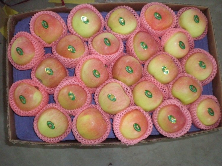 Unbagged Red Gala Apple From China