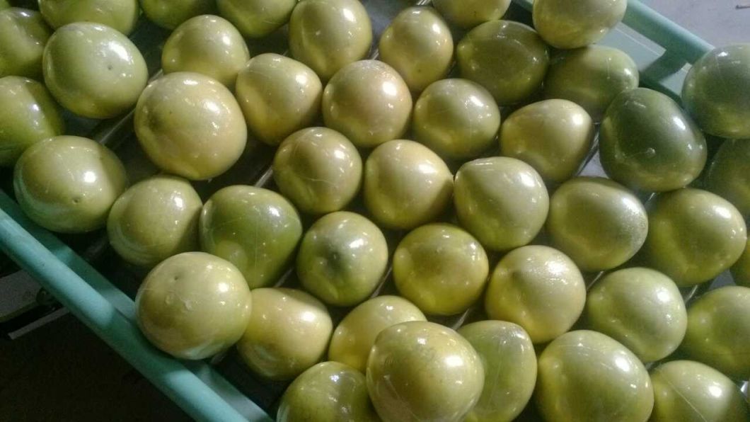 New Crop Fresh Honey Pomelo
