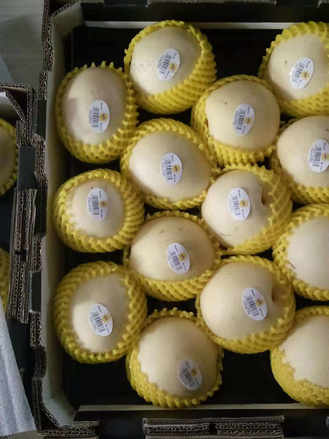 First Quality Fresh New Crop Crown Pear