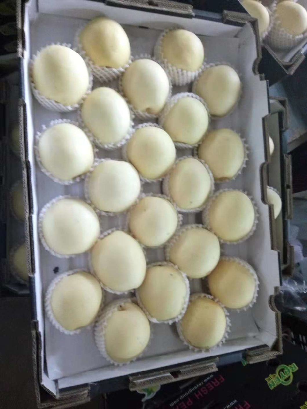 First Quality Fresh New Crop Crown Pear