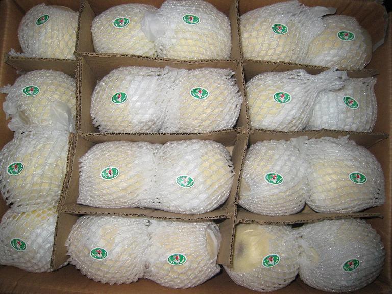 First Quality Fresh New Crop Crown Pear